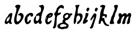 Telegdi Pro Bold Italic Font LOWERCASE