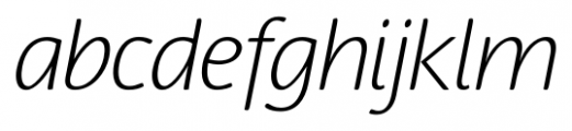 Terfens Light Italic Font LOWERCASE