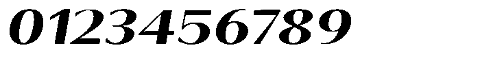 Tellur Sans Black Italic Font OTHER CHARS