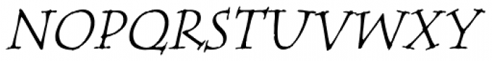 Tempus Serif Std Italic Font UPPERCASE