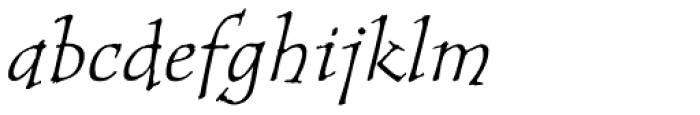 Tempus Serif Std Italic Font LOWERCASE