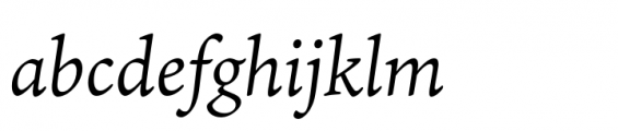 Ten Mincho Italic Font LOWERCASE