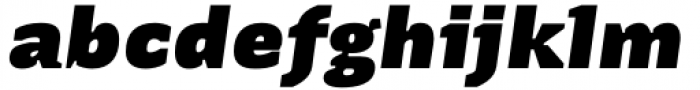 Terafile Italic Bold Font LOWERCASE