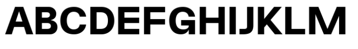 Terasans Bold Font