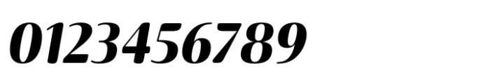 Terfens Contrast Norm Black Italic Font OTHER CHARS