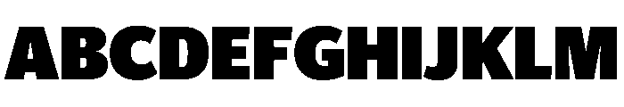 Telesans Head Black Font UPPERCASE