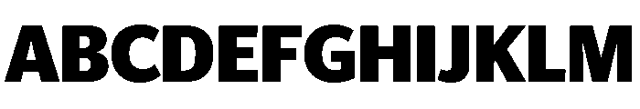 Telesans Head Bold Font UPPERCASE