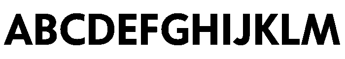 Tempo Bold Font UPPERCASE