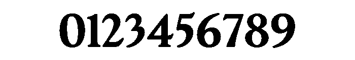 Terrain Bold Font OTHER CHARS
