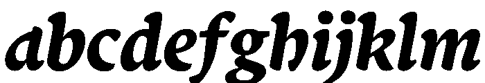 Terza Display Bold Italic FONT