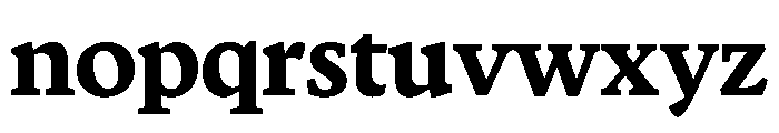 Terza Display Bold Font LOWERCASE