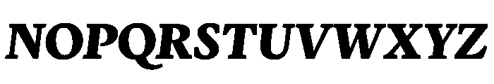 Terza Display Extrabold Italic Font UPPERCASE