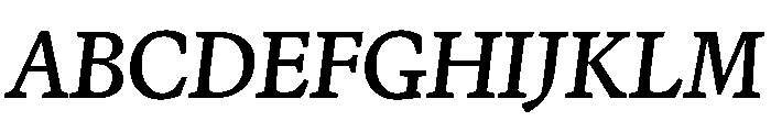 Terza Display Regular Italic Font UPPERCASE
