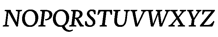 Terza Display Regular Italic Font UPPERCASE