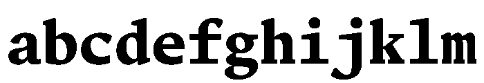 Terza Editor Bold FONT
