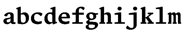 Terza Editor Medium FONT