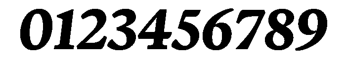 Terza Reader Bold Italic Font OTHER CHARS