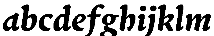 Terza Reader Bold Italic FONT