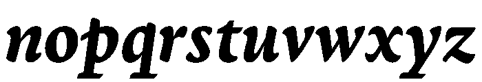 Terza Reader Bold Italic Font LOWERCASE