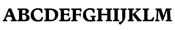 Terza Reader Bold Font UPPERCASE