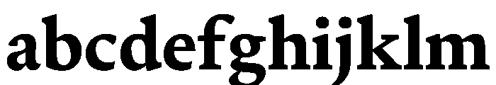 Terza Reader Bold FONT