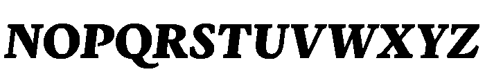 Terza Reader Extrabold Italic Font UPPERCASE