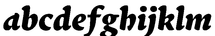 Terza Reader Extrabold Italic FONT