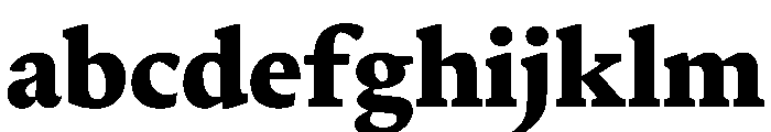 Terza Reader Extrabold FONT