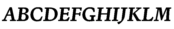 Terza Reader Medium Italic Font UPPERCASE