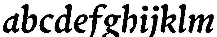 Terza Reader Medium Italic FONT