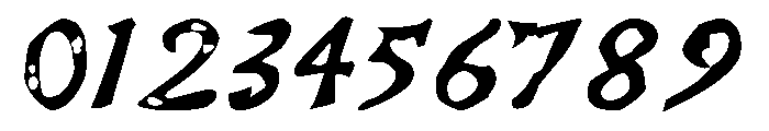 Telegdi Bold Italic Font OTHER CHARS