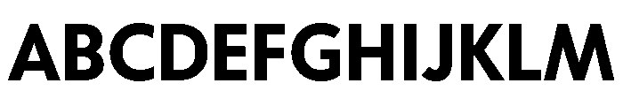 Tempo Bold Font UPPERCASE