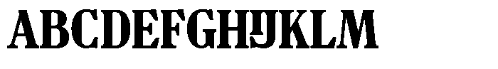 TF Mighu Slab Variable TF Mighu Bold Font UPPERCASE