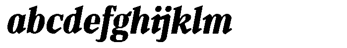 TF Mighu Slab Variable TF Mighu Italic Bold FONT