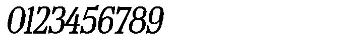TF Mighu Slab Variable TF Mighu Italic Light Font OTHER CHARS