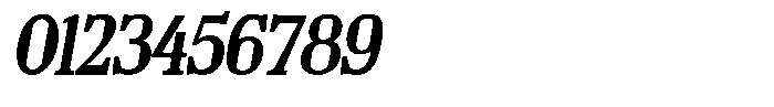 TF Mighu Slab Variable TF Mighu Italic Medium Font OTHER CHARS