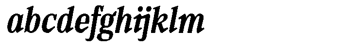 TF Mighu Slab Variable TF Mighu Italic Medium FONT