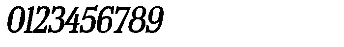 TF Mighu Slab Variable TF Mighu Italic Regular Font OTHER CHARS