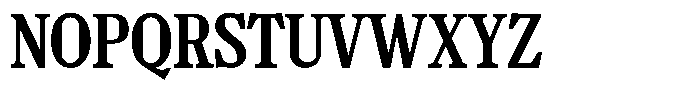 TF Mighu Slab Variable TF Mighu Medium Font UPPERCASE