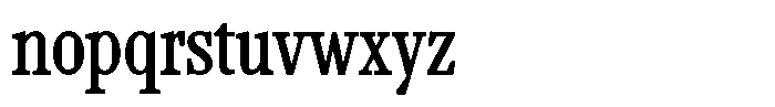 TF Mighu Slab Variable TF Mighu Regular Font LOWERCASE