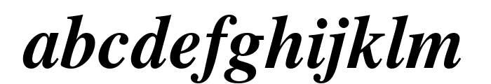 TGRoman Bold Italic Font LOWERCASE