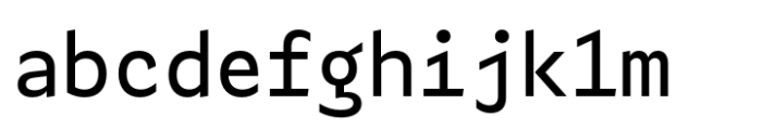 TG Frida Mono Regular Font LOWERCASE