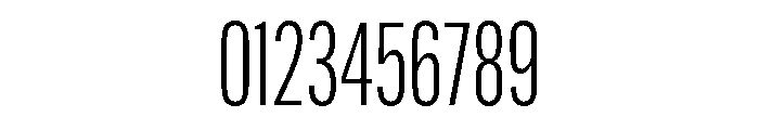 Thornwood Variable Extra Light Font OTHER CHARS