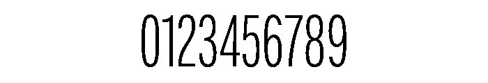 Thornwood Variable Light Font OTHER CHARS
