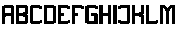 THE CHAMPION Bold Font UPPERCASE