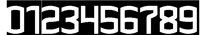 THE CHAMPION-Inverse Font OTHER CHARS