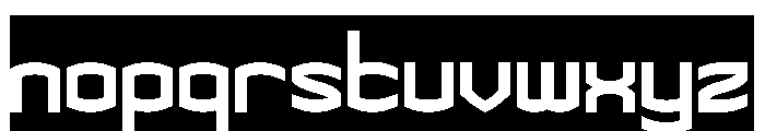 THE CHAMPION-Inverse Font LOWERCASE