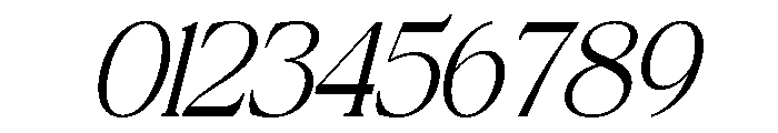 The Bilstein Editorial Italic Font OTHER CHARS