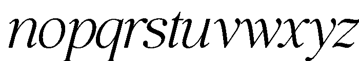 The Bilstein Editorial Italic Font LOWERCASE