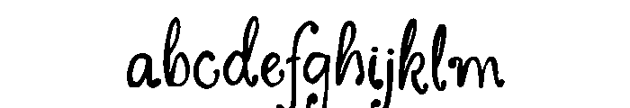 The Midnight Wild FONT